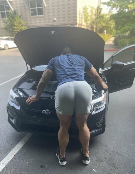 briefsbull hd pornstar photos