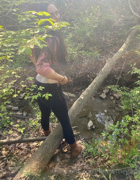 musemegara star free archive