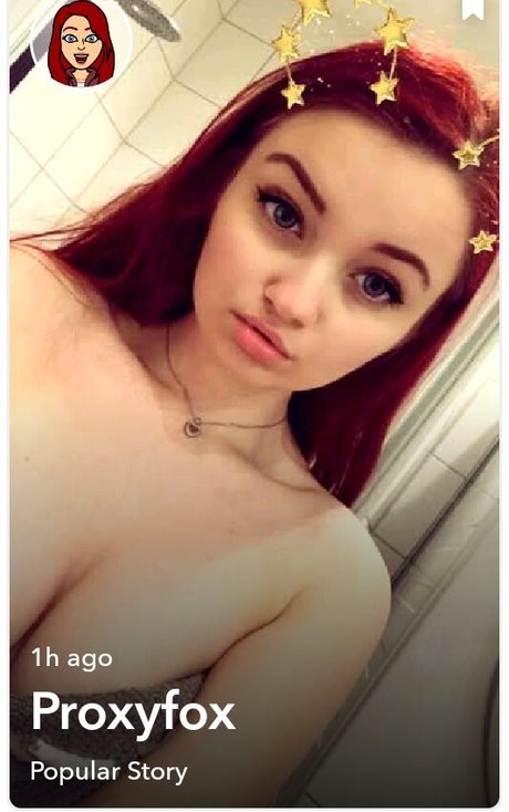 Proxyfox model hot img