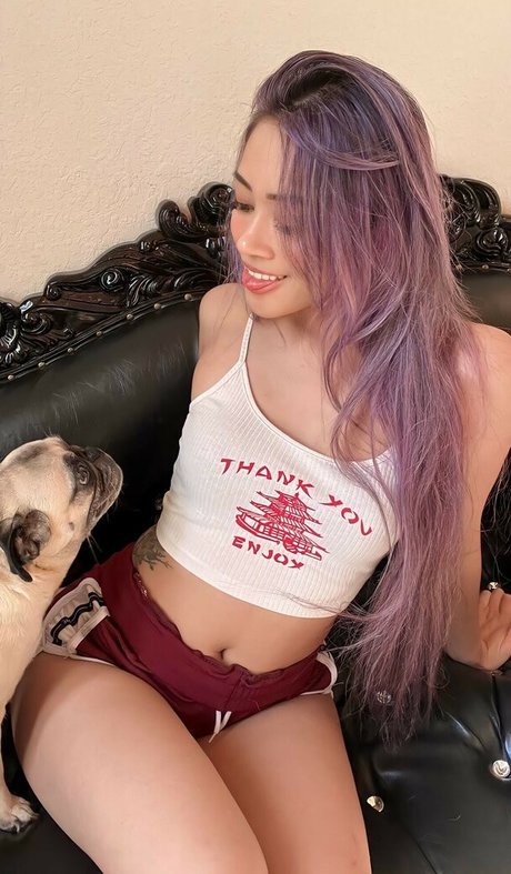 Kyootbot free star photos