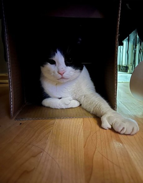 sweet kte sex model archive