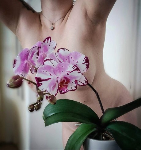 Rich Protection erotic model images