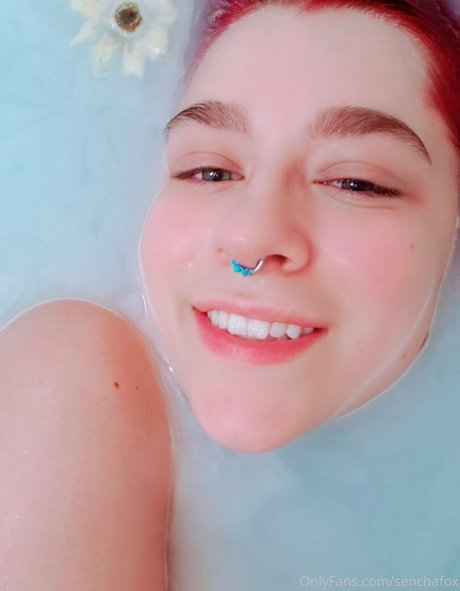 senchafox erotic model pictures