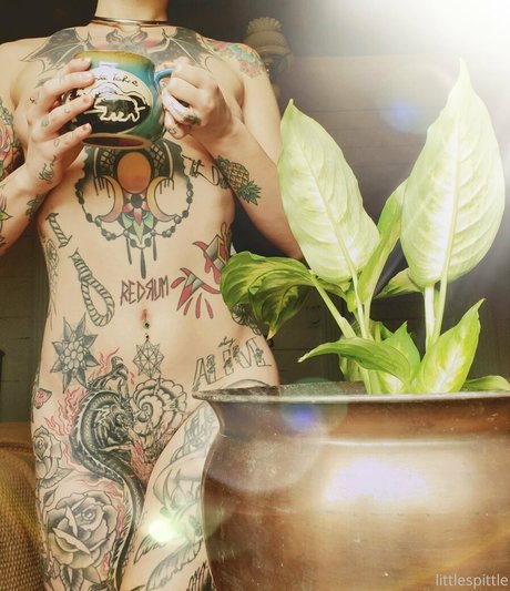 curvy girls onlyfans exclusive galleries