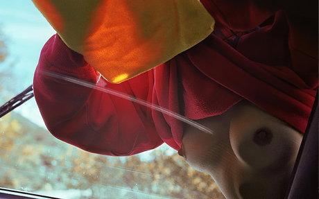 Willa Holland star pretty image