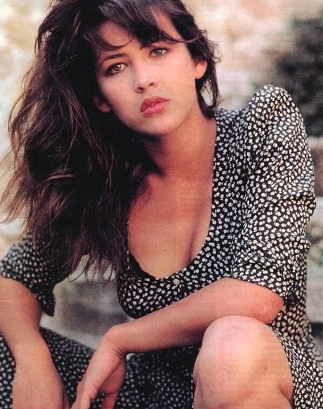 Sophie Marceau porn actress image