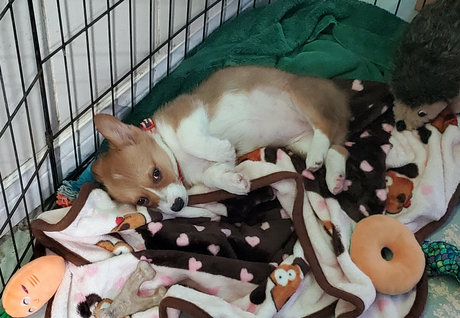 sonjahaze best actress pictures