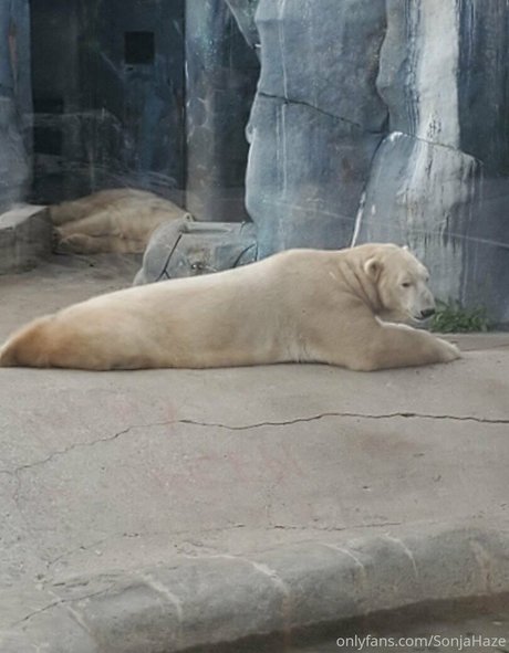 sonjahaze naked pornstar pics