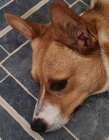 sonjahaze naked star picture