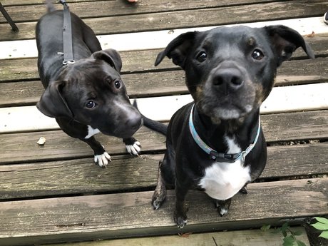 u7984023 star porn pictures