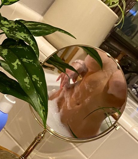 Ms Katana star best image