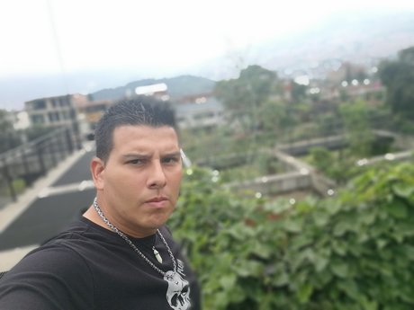 Luis Vasquez pornographic actress pictures