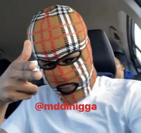 dmvdl star best archive