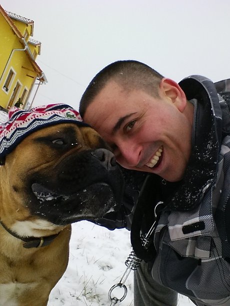 Doggydog model top pics