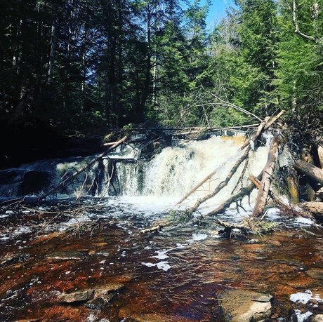 Emilio Medina hd actress photos