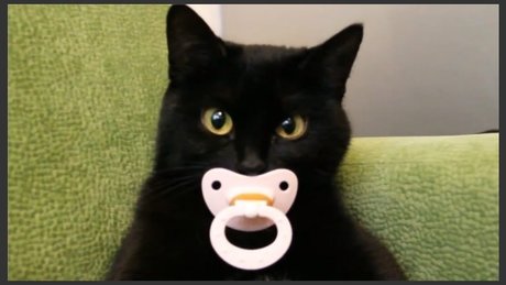 Erotic Taboo Literature 693 hd actress galleries