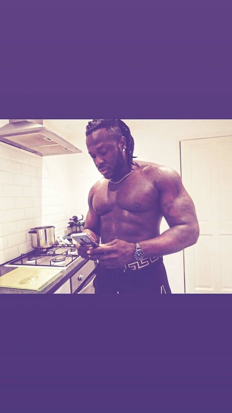 Mr ML model art gallery