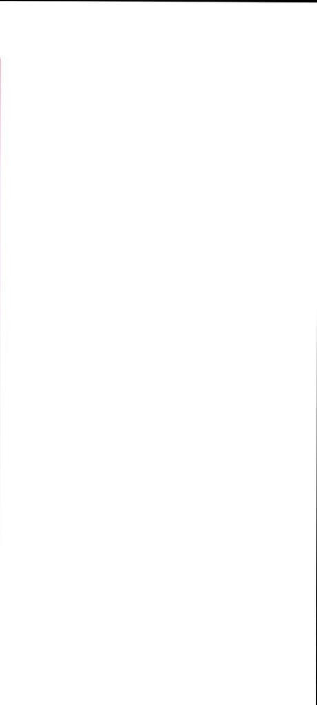 _KING DOM TOP_ best model photo