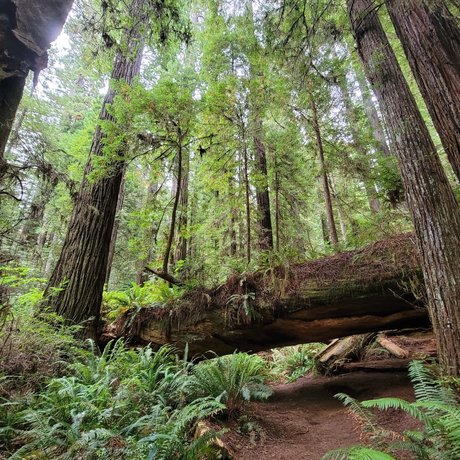 Mister Micah RN model nude gallery