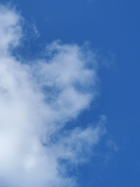 Miss Mimi nice pornstar image