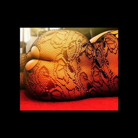 Layla Asher nudes star photos