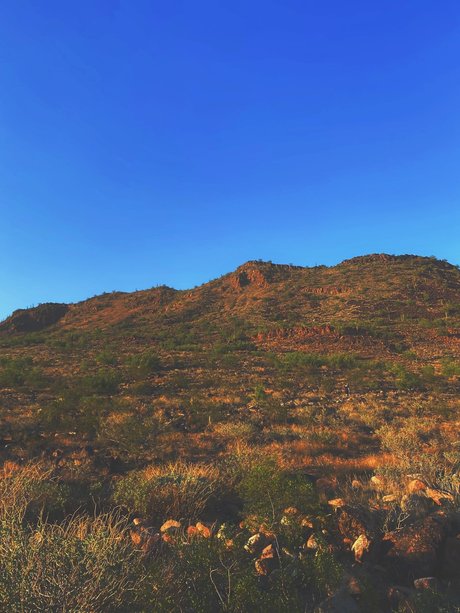 _Stella Rose_ erotic actress photos