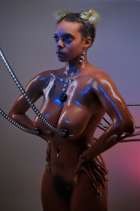 Daisies_ star beautiful photos