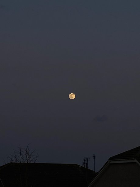 Must be nice perfect star gallery