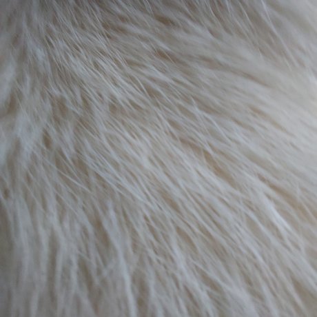 Yellow Heart hot star archive