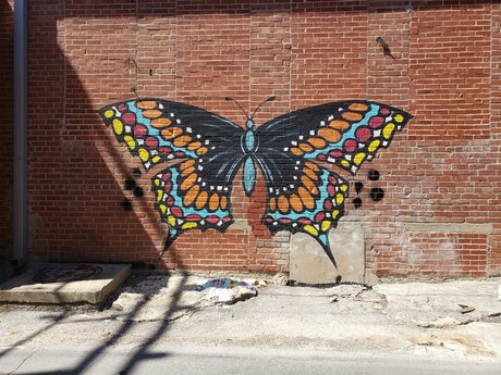 Rachel Smallwood pornstar perfect archive