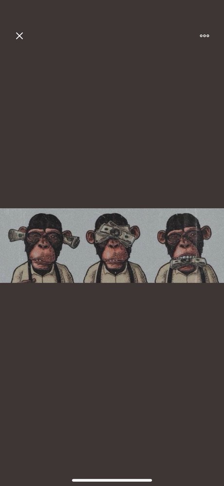 Cutty7 model top image