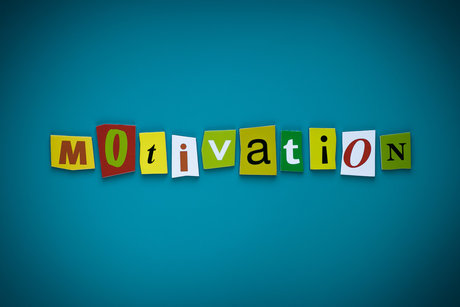 Motivator Bart star nudes galleries