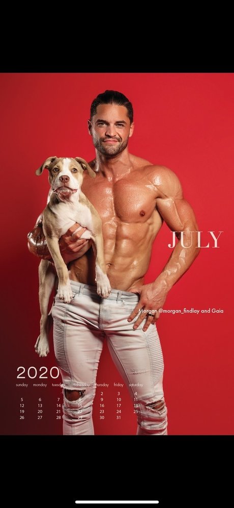 Arnette pornstar perfect image