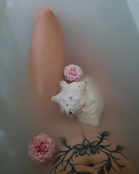 Nico Rain best star img