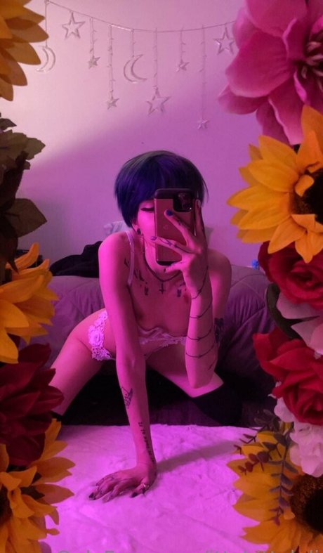 ittybittyloli star pretty archive