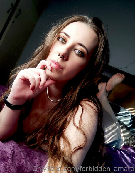 forbidden amara pornstar adult archive