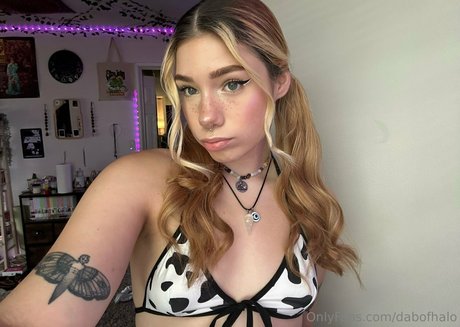 dabofhalo pornstar free photos