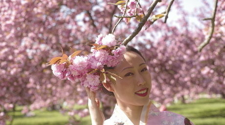 ayakofuji pretty actress photos