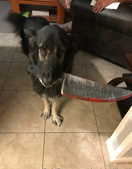 deviouslilwolf model img