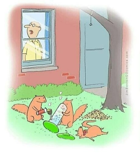 gutfuzz sex model archive