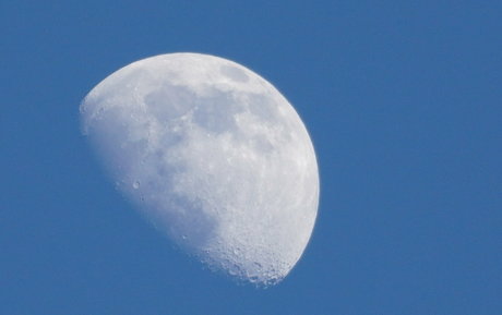 gutfuzz star best photo