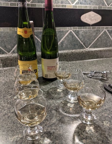 gutfuzz model hd image