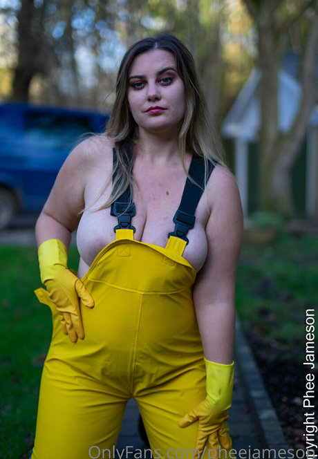 pheejameson art star image