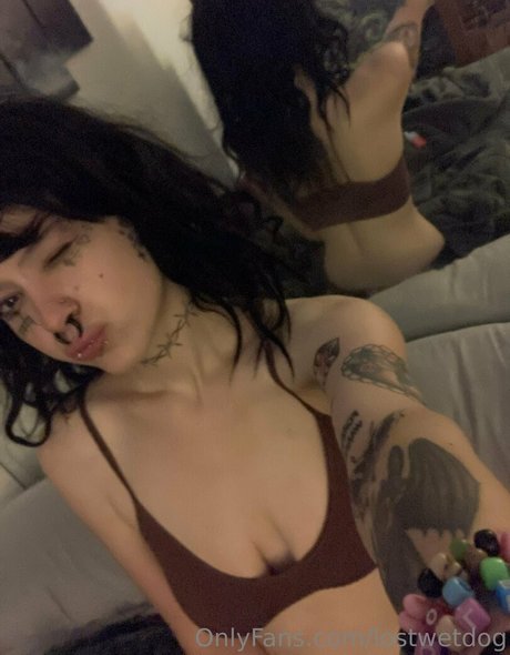 Lostwetdog free actress archive