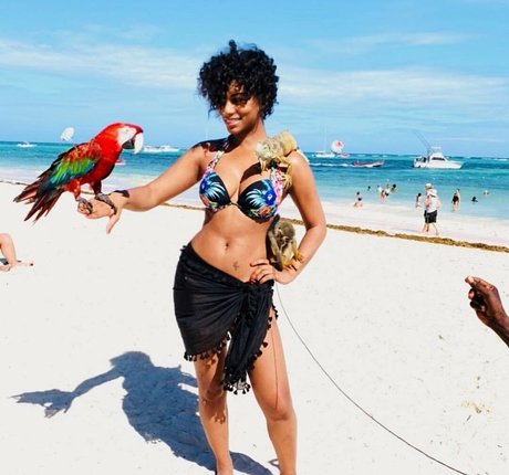 Taylor Rooks model nude img