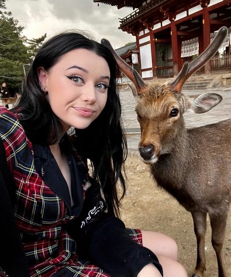 LivBev nudes pornstar image