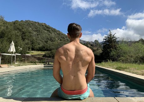 dante colle best pornstar archive