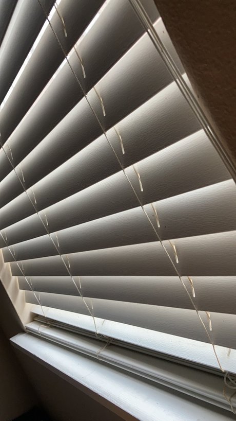 SSBBW Sugar free model photo