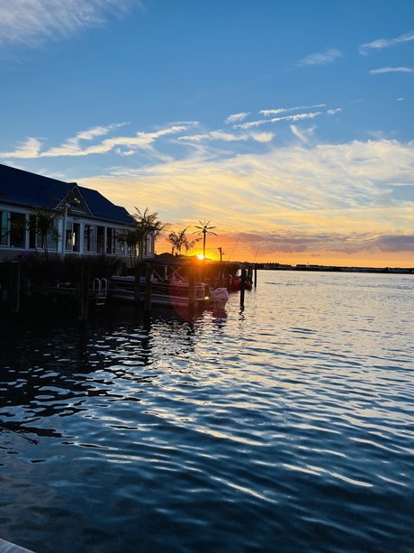 OceanTan hot actress gallery