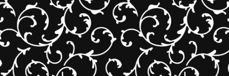 NyanAriKari beautiful star photos